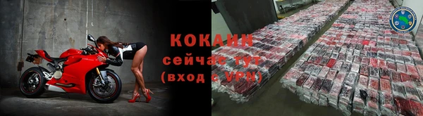 молекула духа Богородицк