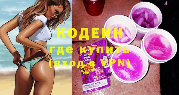 молекула духа Богородицк