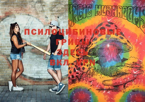 MDMA Premium VHQ Бронницы