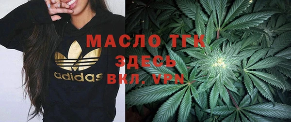 молекула духа Богородицк