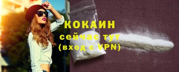 молекула духа Богородицк