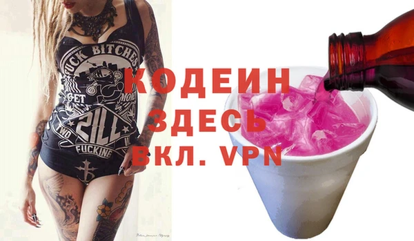 молекула духа Богородицк